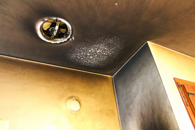 Cleaning and Odor Control